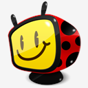 bug,tv