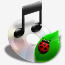 bug,music