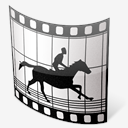 Animation
