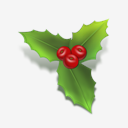 holly