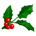 Holly