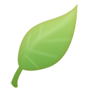 leaf