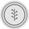 newsvine,grey