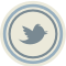 twitter,blue
