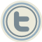 twitter,blue