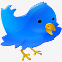 Twitter,bird