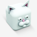kitty