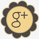 Google,Plus
