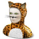 cat,costume