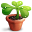 Plant,Pot