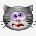 Cat,Dizzy