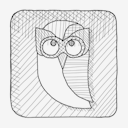 hootsuite