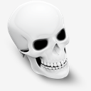 Dresden,Skull