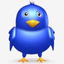 Twitter,bird