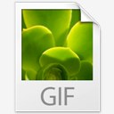 GIF