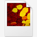 TGA,no,text