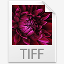 TIFF