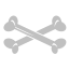 bones,silver