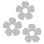 flowers,silver