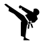 karate,black