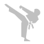 karate,silver