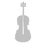 violin,silver