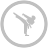 karate,silver