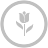 tulip,silver