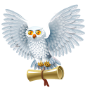 owl