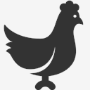 chiken