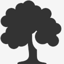 deciduous,tree