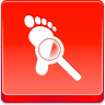 audit