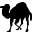 perl,camel
