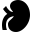 kidney