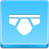 Briefs