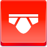 Briefs