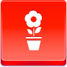 Pot,flower