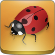 bugdroid