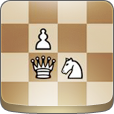 chessbook