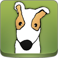 doggy