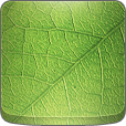 freshleaves