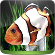 mydfish