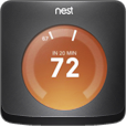 nest