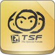 tsfmemo