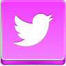 twitter,bird