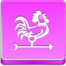 weathercock