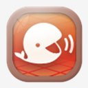 xiaomi,topic