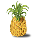 pineapple,Fruit