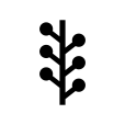 Newsvine