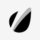 envato,black